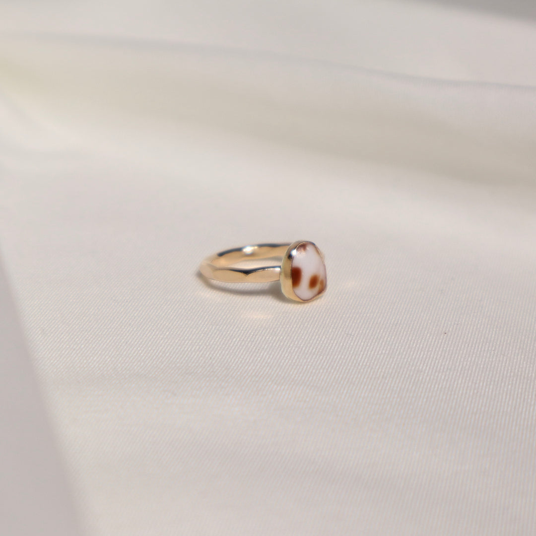 Shell Gold & Bold Ring - Size 4.5