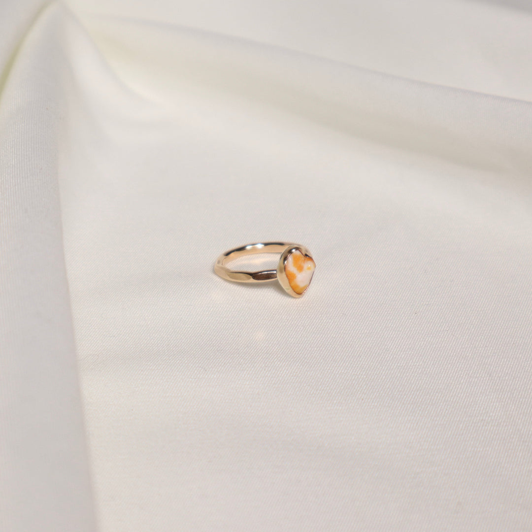 Shell Gold & Bold Ring - Size 5.5