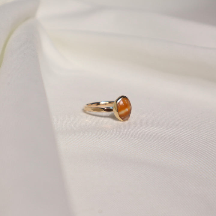 Shell Gold & Bold Ring - Size 7.5