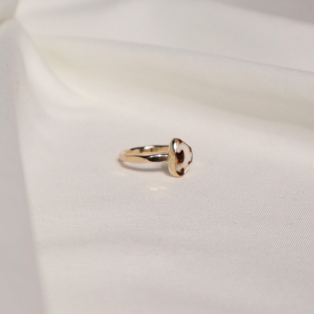 Shell Gold & Bold Ring - Size 5