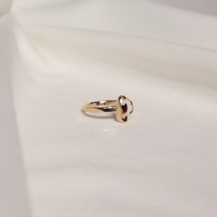 Shell Gold & Bold Ring - Size 5