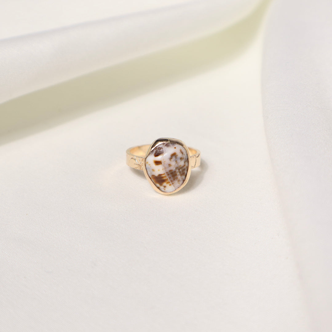 Shell Plumeria Ring - Size 6.5