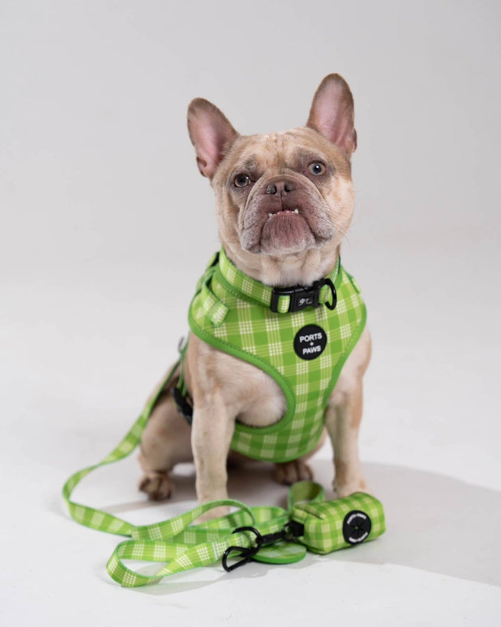 Adjustable Harness in Palaka Lime - Ports and Paws