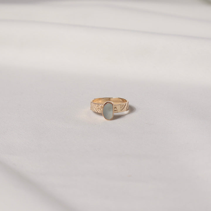 Seaglass Diver Shell Ring - Size 7