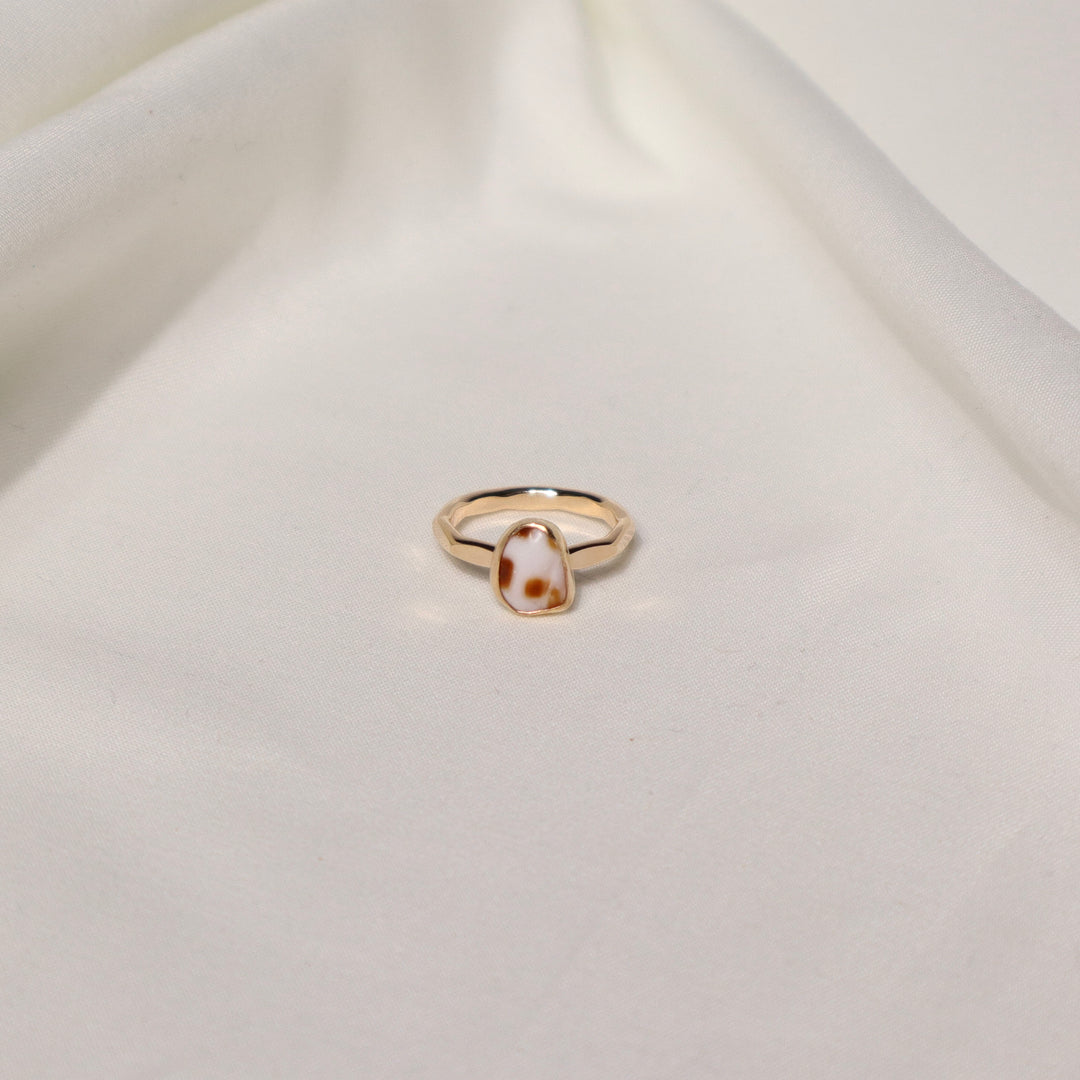Shell Gold & Bold Ring - Size 4.5