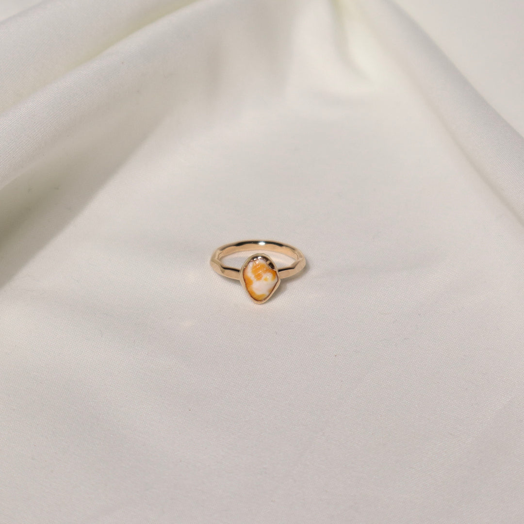 Shell Gold & Bold Ring - Size 5.5