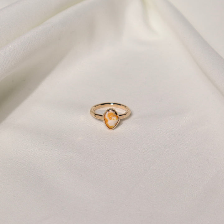 Shell Gold & Bold Ring - Size 5.5