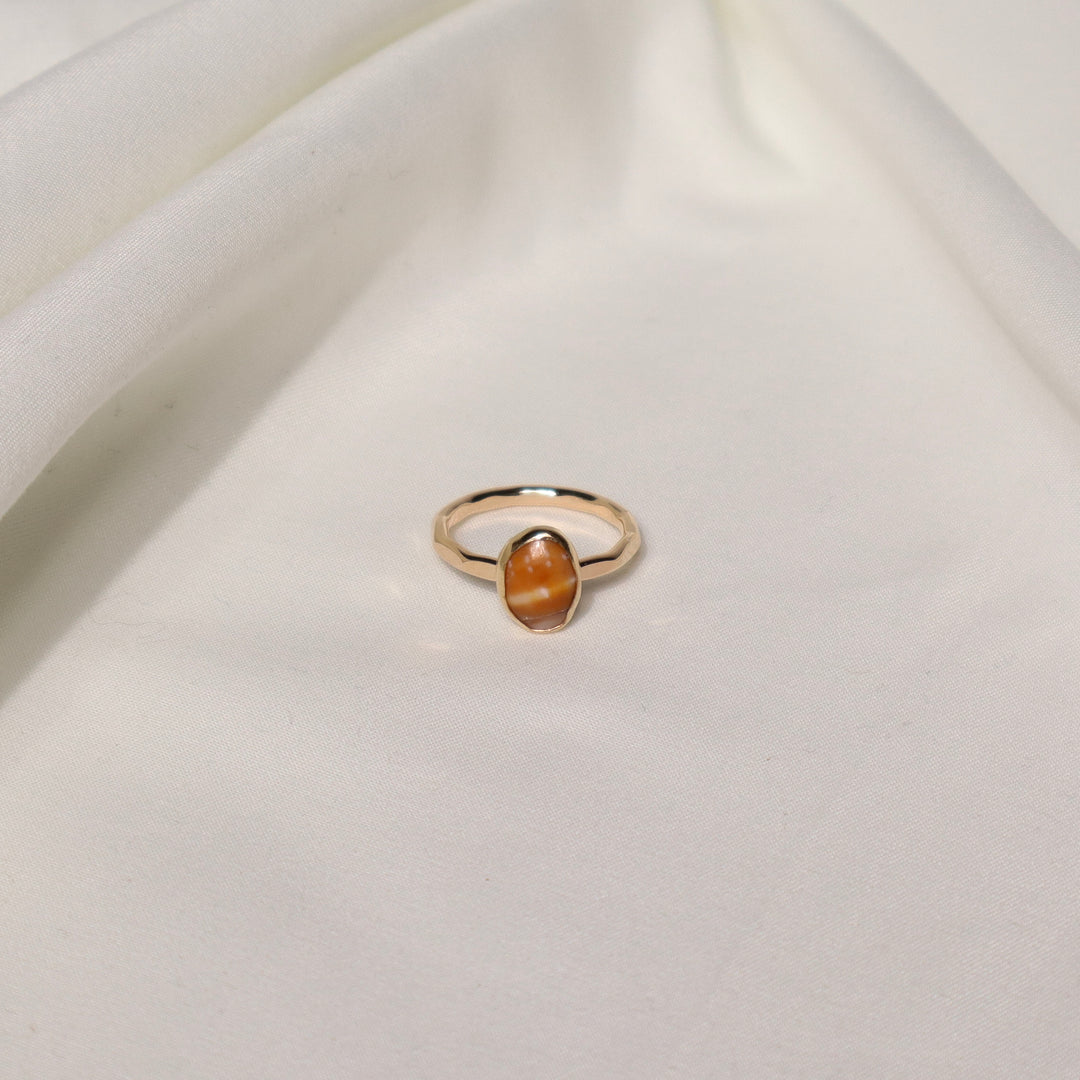 Shell Gold & Bold Ring - Size 7.5