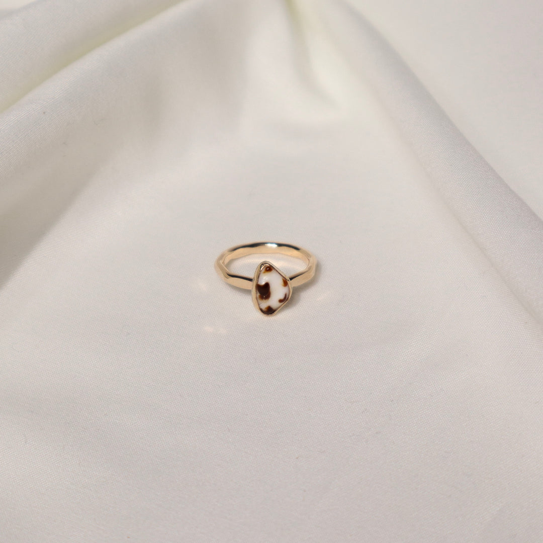 Shell Gold & Bold Ring - Size 5