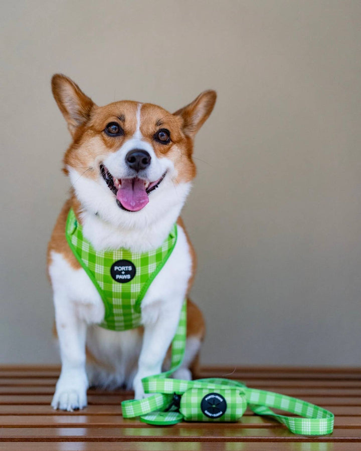 Adjustable Harness in Palaka Lime - Ports and Paws