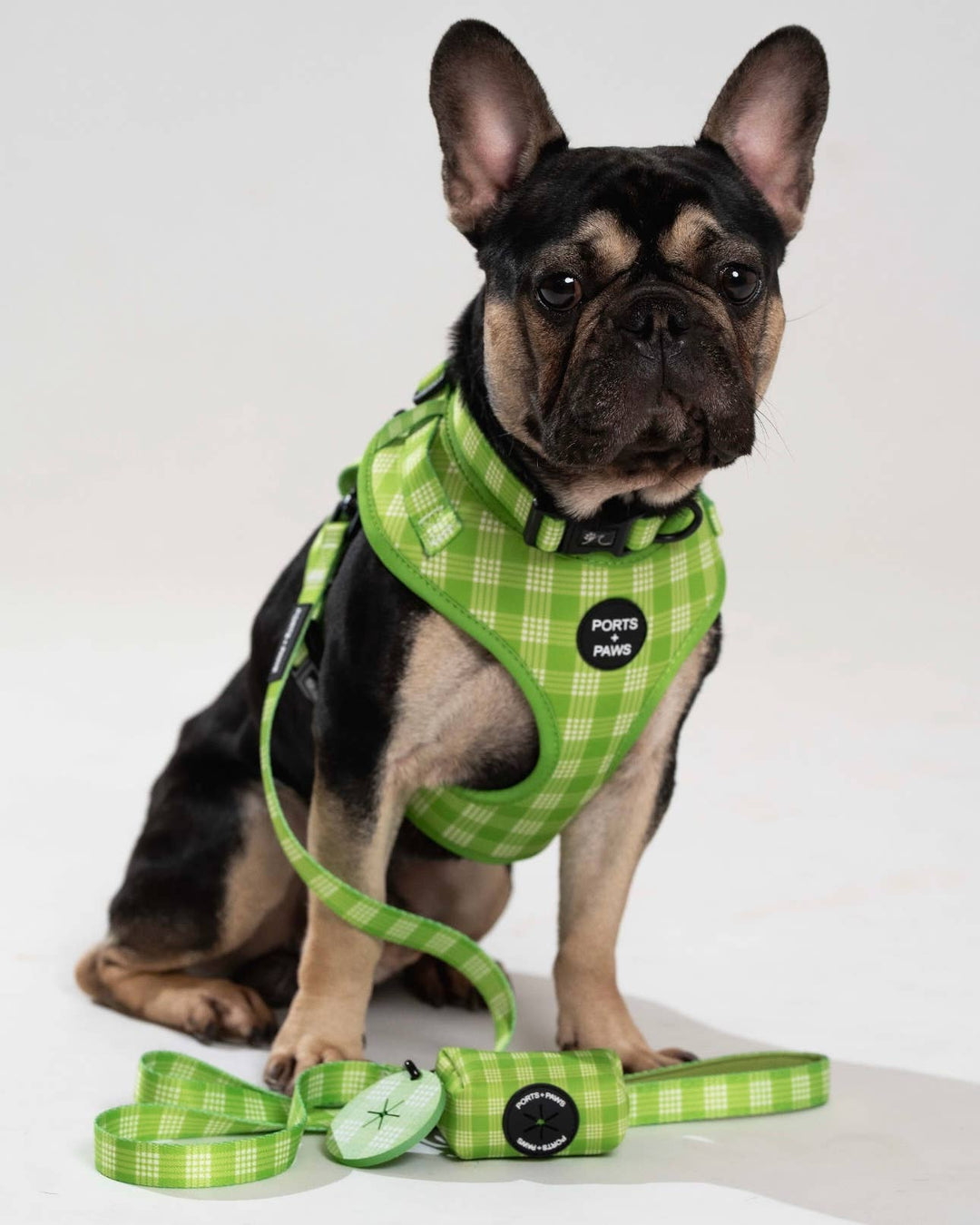 Adjustable Harness in Palaka Lime - Ports and Paws