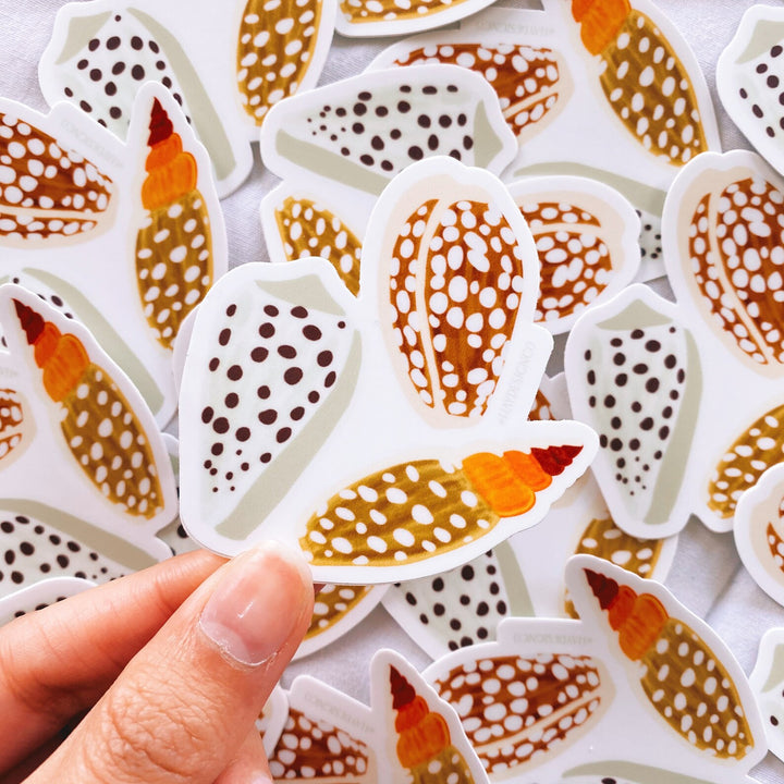 Cowrie Shell Sticker - Hay Design