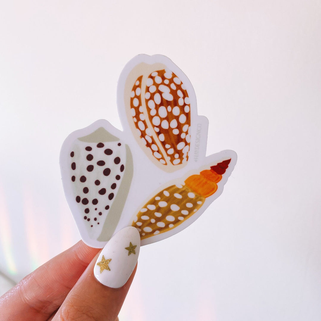 Cowrie Shell Sticker - Hay Design